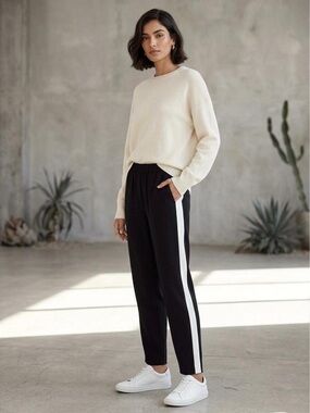 Aritzia Babaton Black Striped Trousers